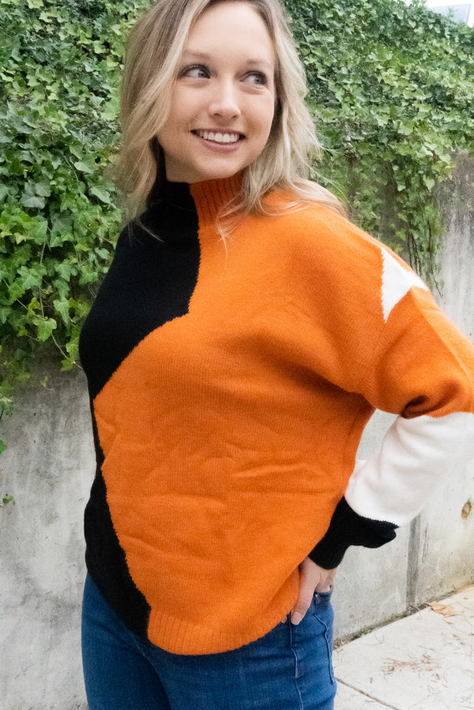 Color-Block Turtle Neck Sweater